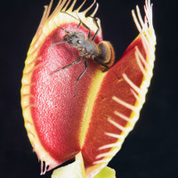 Foto: Sönke Scherzer