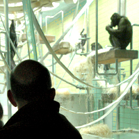 Besucher im Affenhaus der Wilhelma