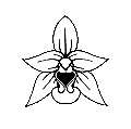 Logo des AK Heimische Orchideen Bayern e.V.
