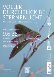 Plakat zum Vortrag 'Voller Durchblick bei Nacht'